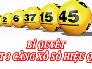 3 càng miền Bắc là gì - là phương pháp mang lại hiệu quả cao