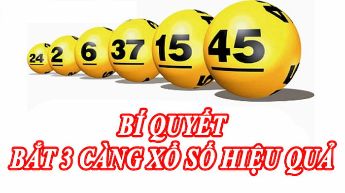 3-cang-mien-bac-la-gi-mang-lai-hieu-qua-cao 3 càng miền Bắc là gì - là phương pháp mang lại hiệu quả cao